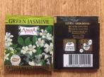 Green Jasmine new